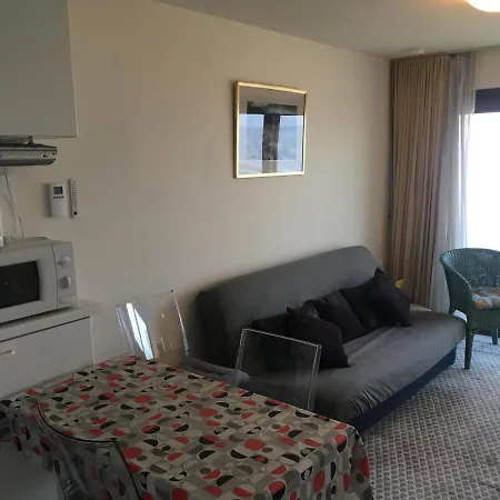 Prachtige Met Frontaal Zeezicht En Terras 4 Pers. Apartment *