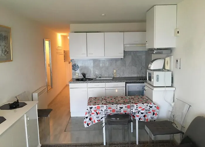 Prachtige Met Frontaal Zeezicht En Terras 4 Pers. 奥斯滕德